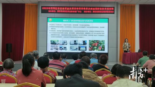 專家支招助力產(chǎn)業(yè)發(fā)展，茂南舉辦荔枝產(chǎn)業(yè)技術(shù)培訓(xùn)班